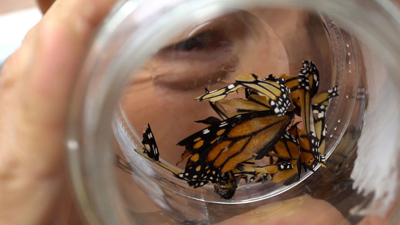 backdrop The Edge of a Hole