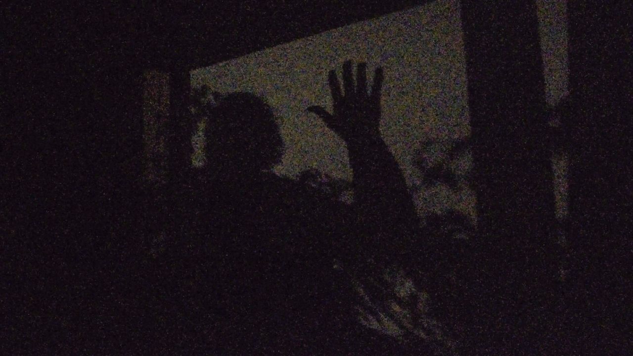 A garden of shadows