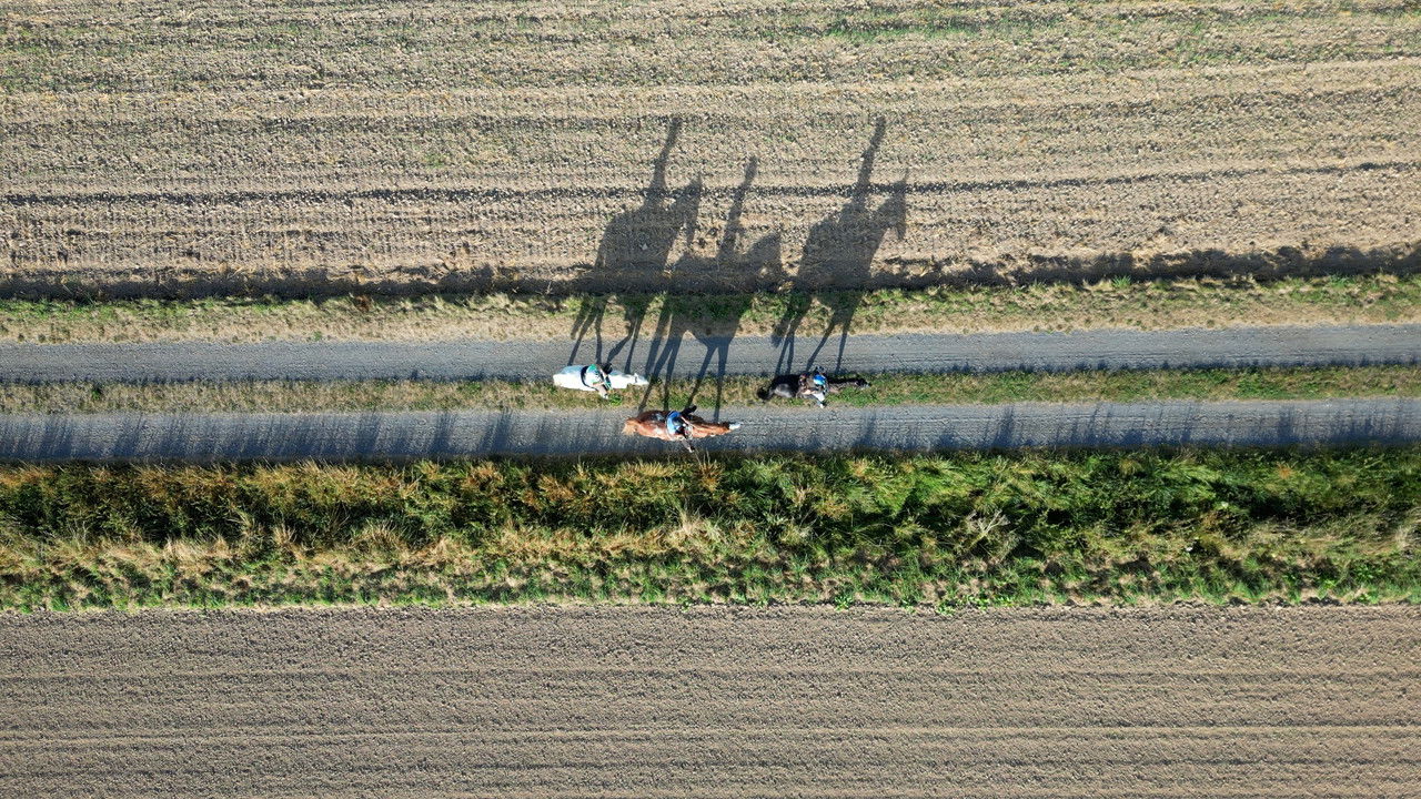 backdrop TransGermania - Vom Alpenrand zum Meeresstrand