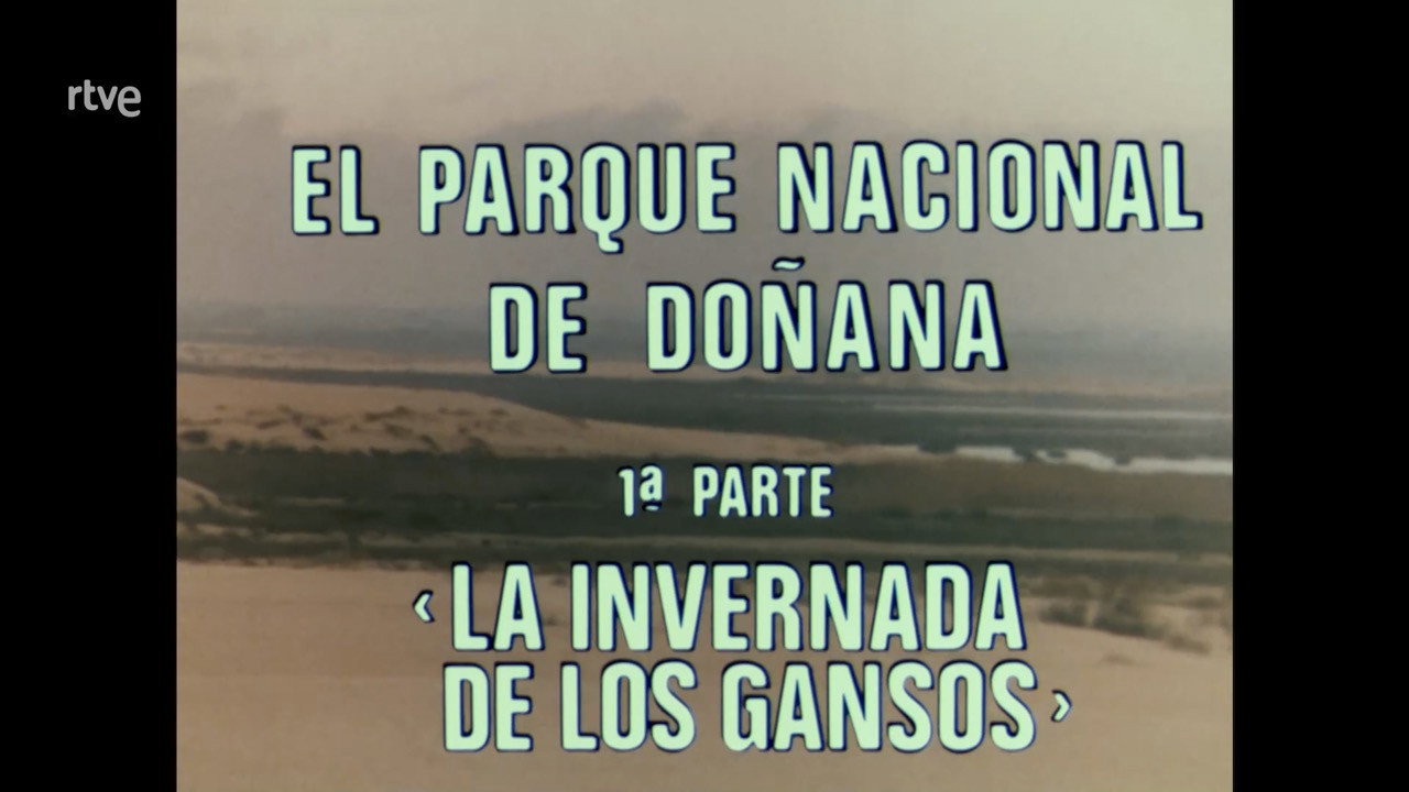 Doñana National Park I