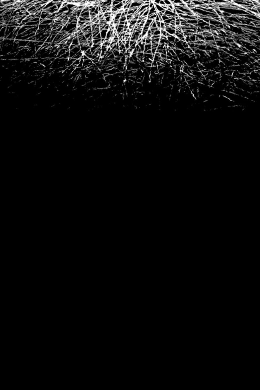 For When I Think, There is This Heaviness That I Would Rather You Not Carry