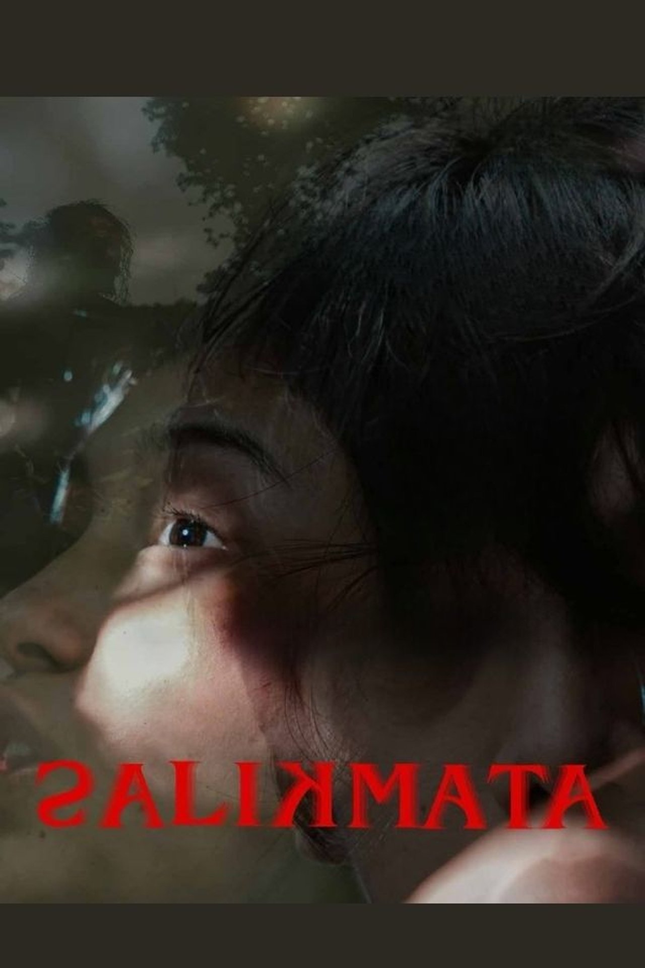 enlarged Poster 0