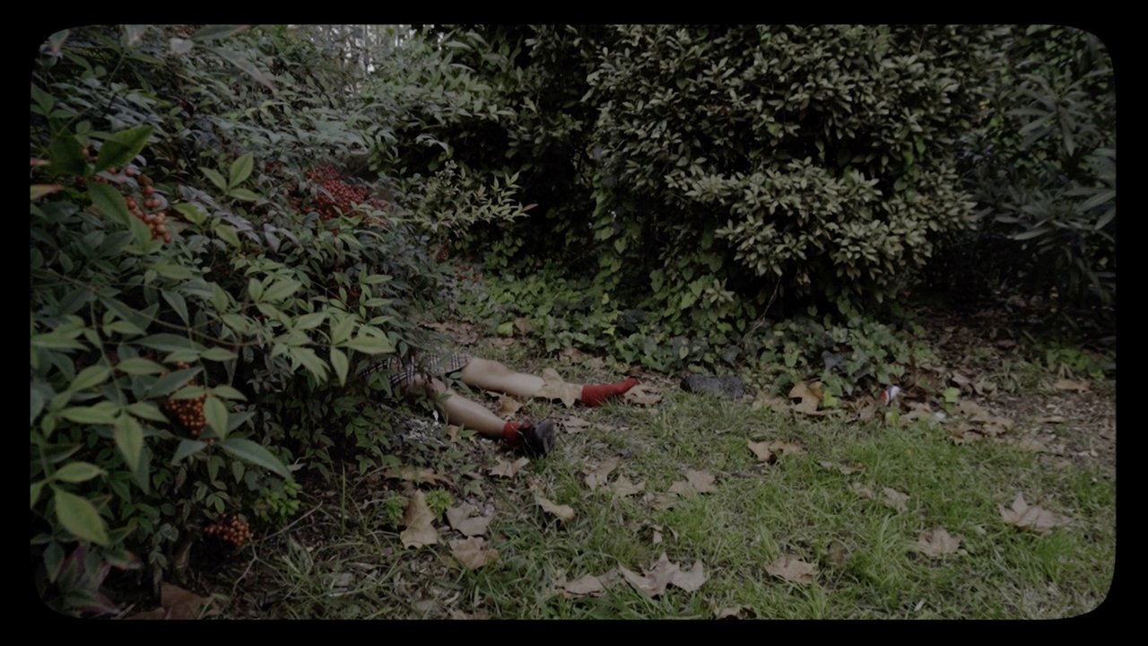 Bodies of Mary