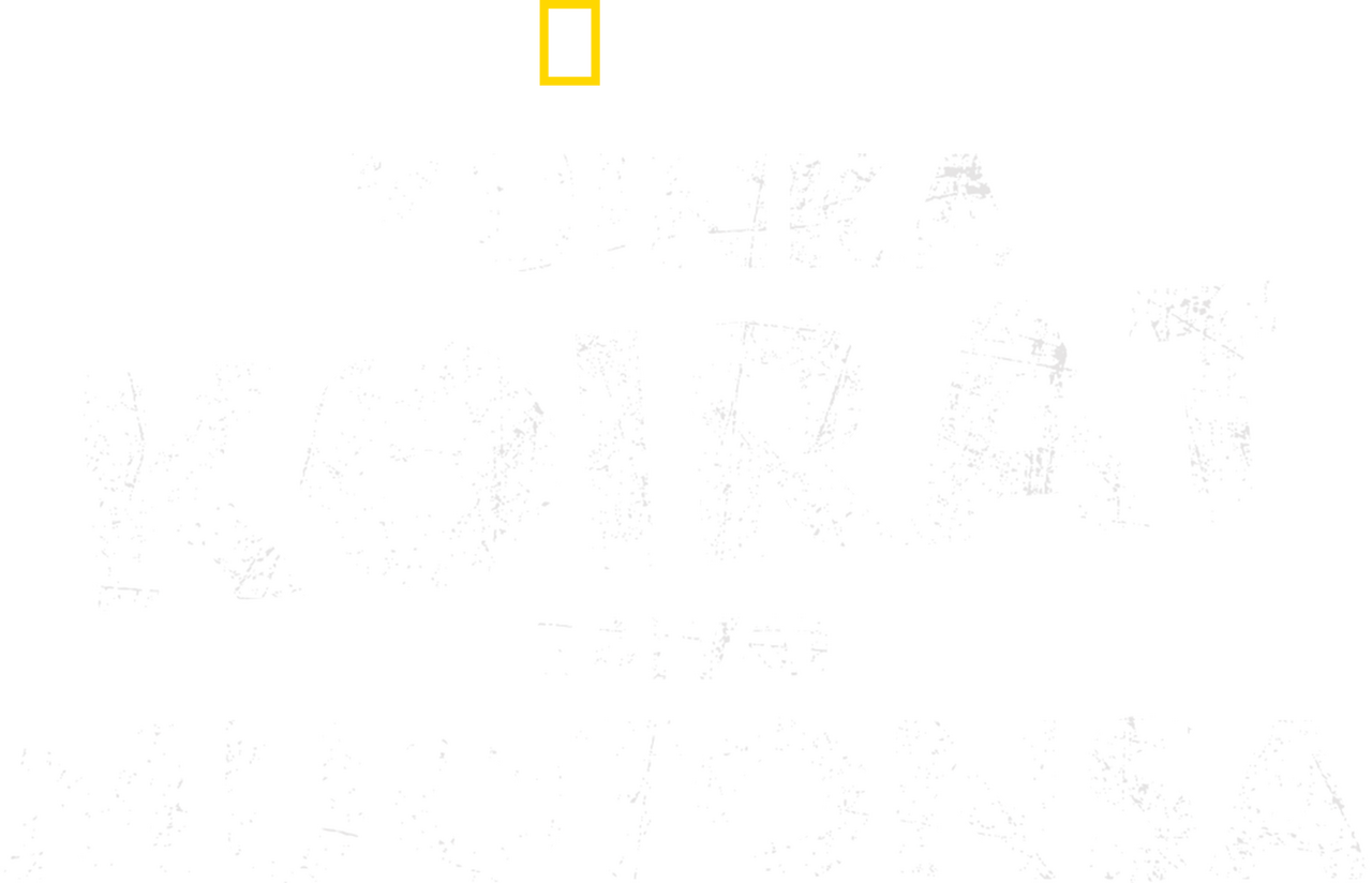 enlarged Logo 0