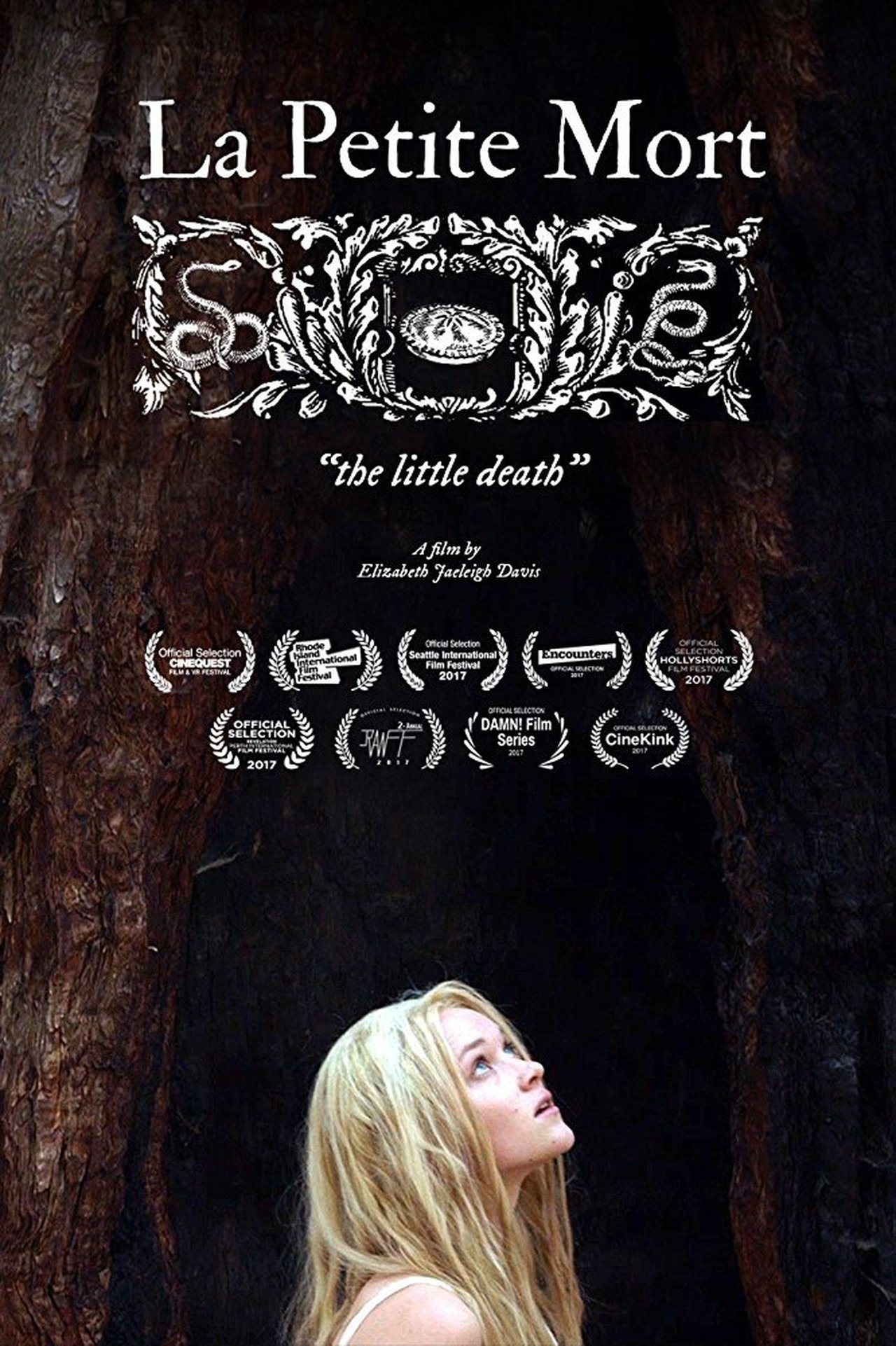 enlarged Poster 0