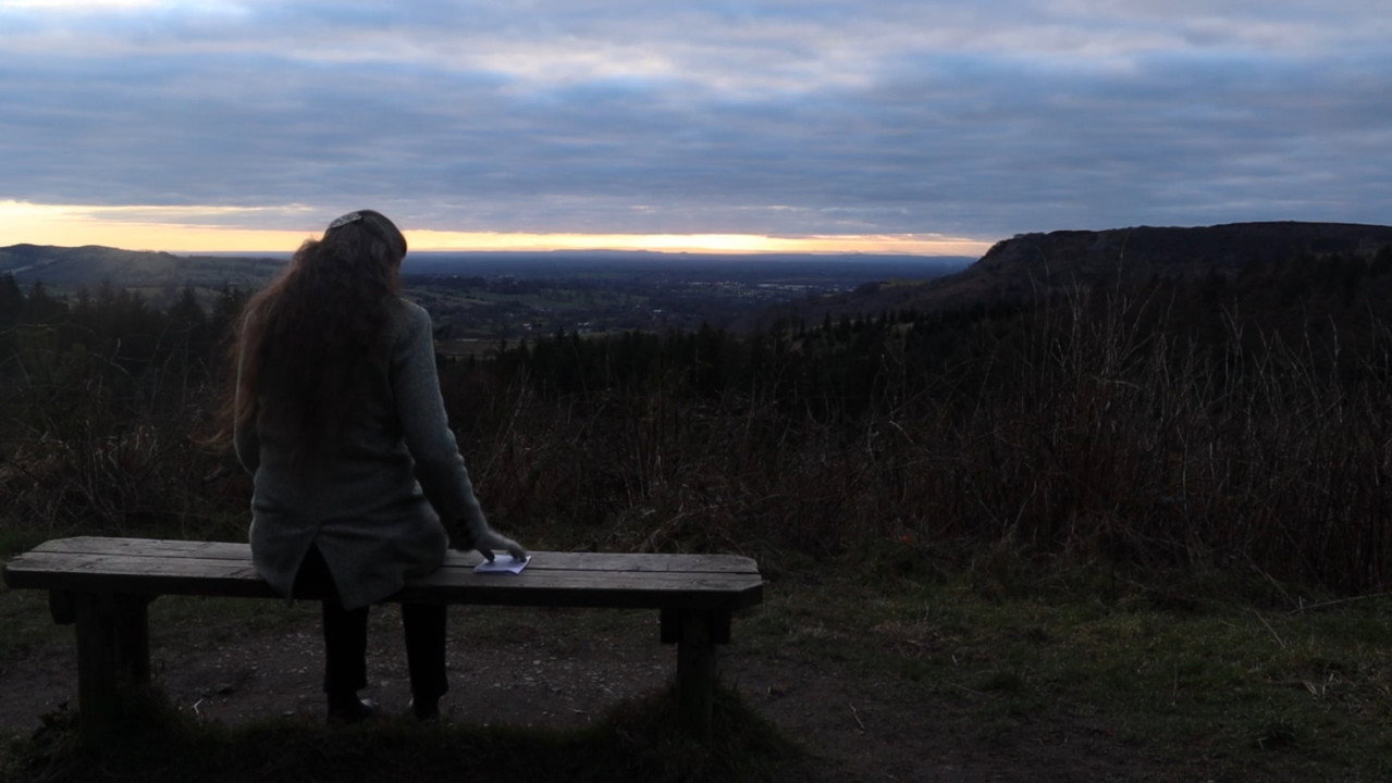 backdrop Solace
