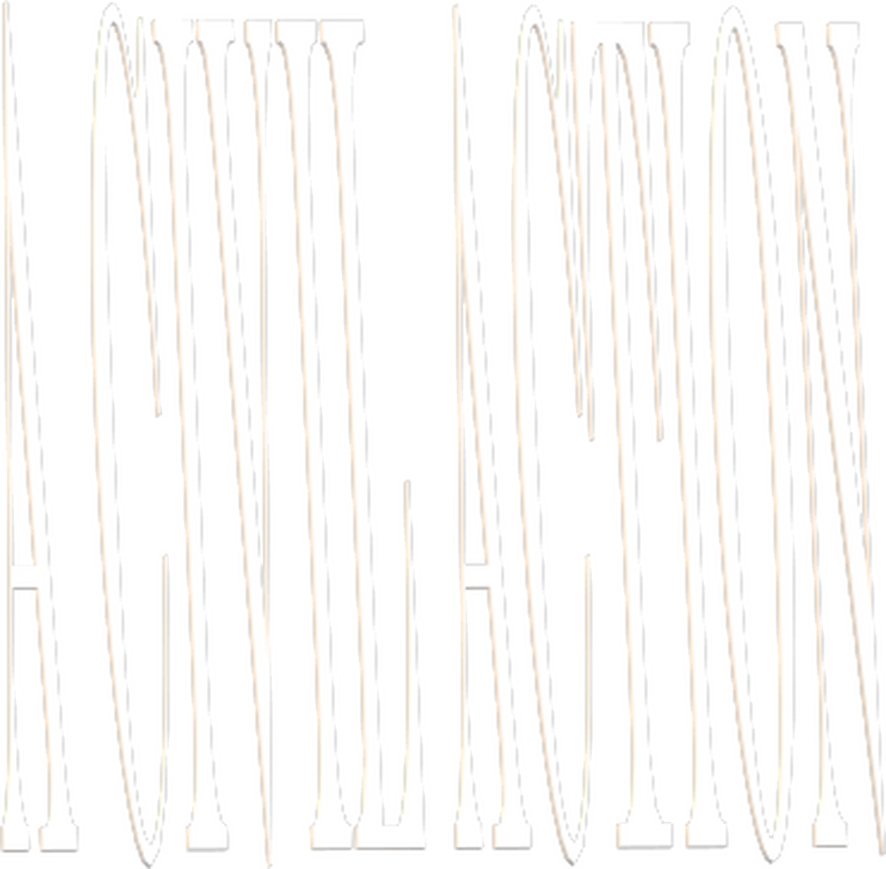 enlarged Logo 0