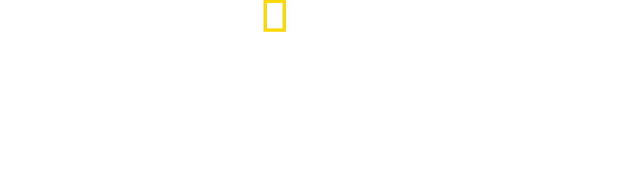 enlarged Logo 0