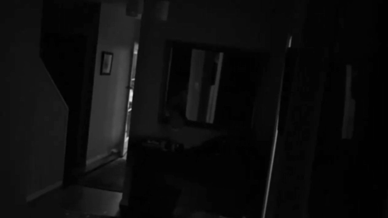 backdrop Follow the Light