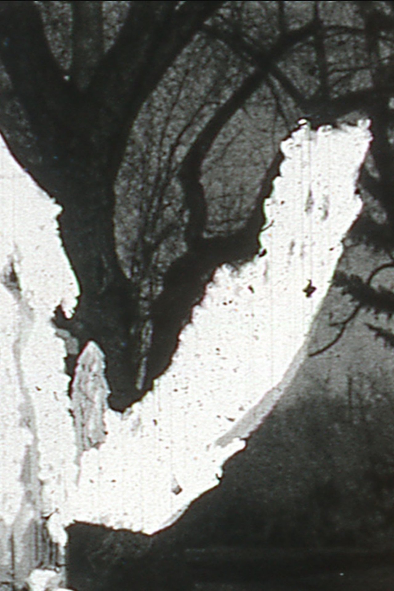 enlarged Poster 0