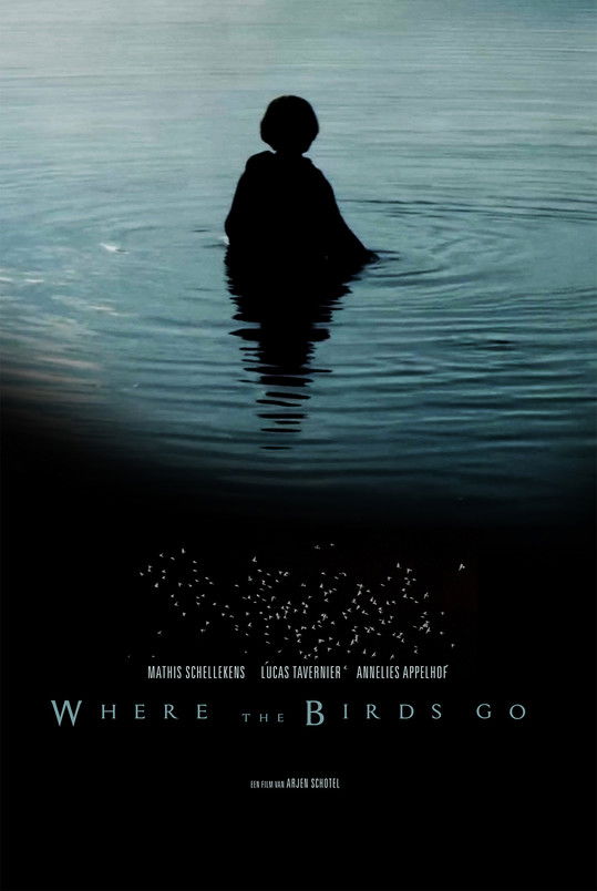 Where the birds go