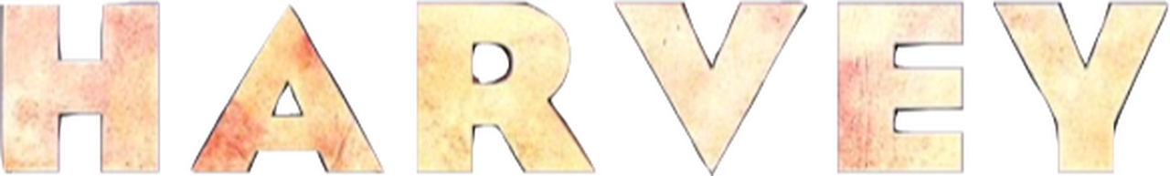 enlarged Logo 0