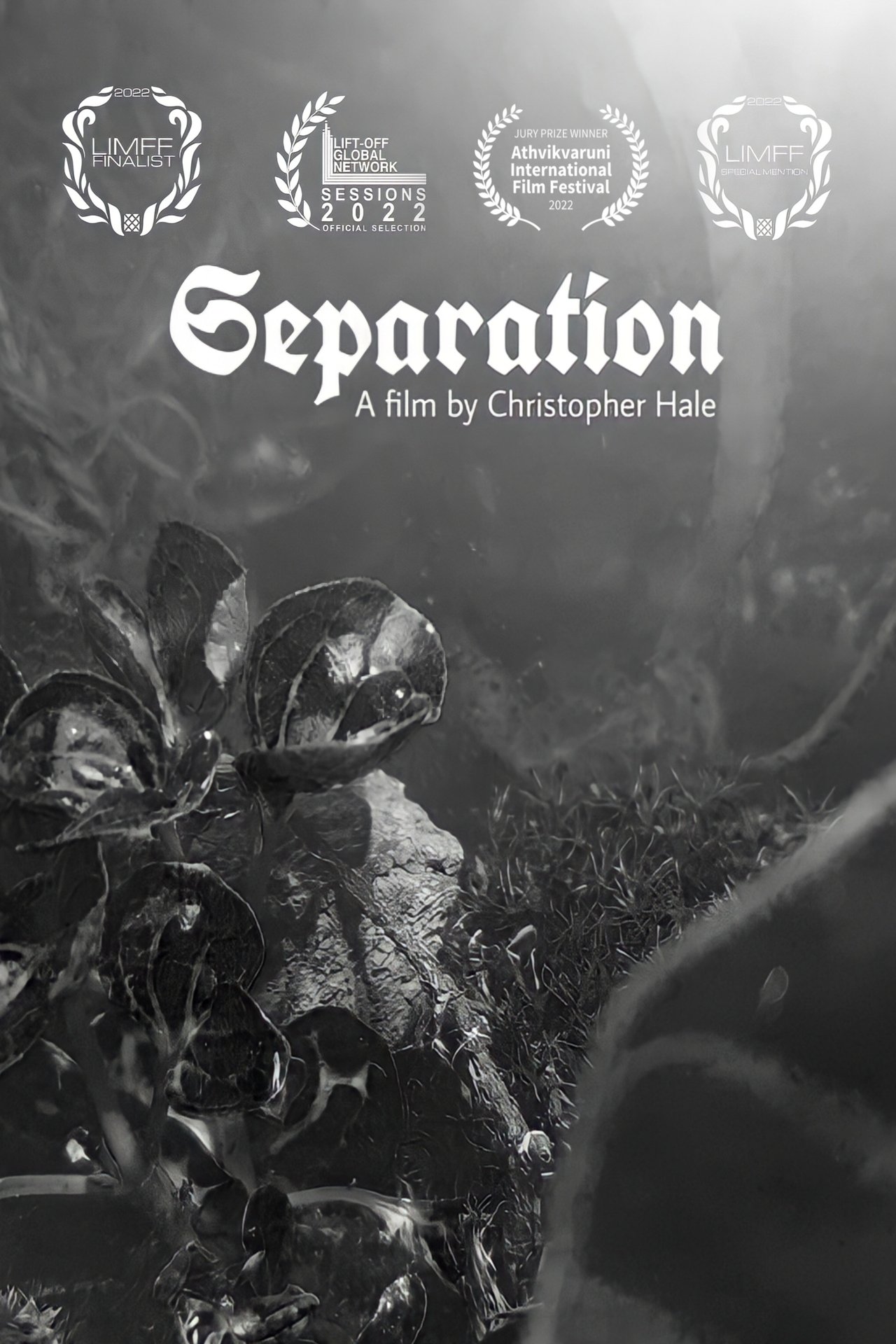 enlarged Poster 0