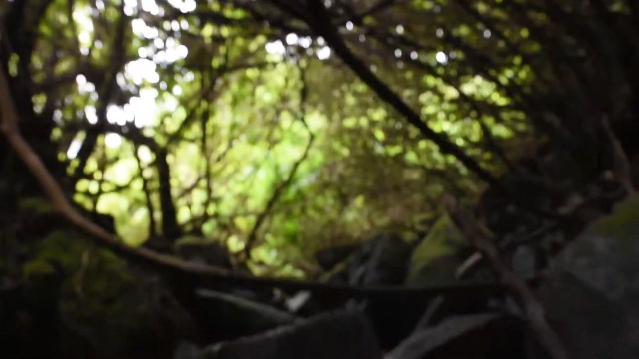 movie backdrop