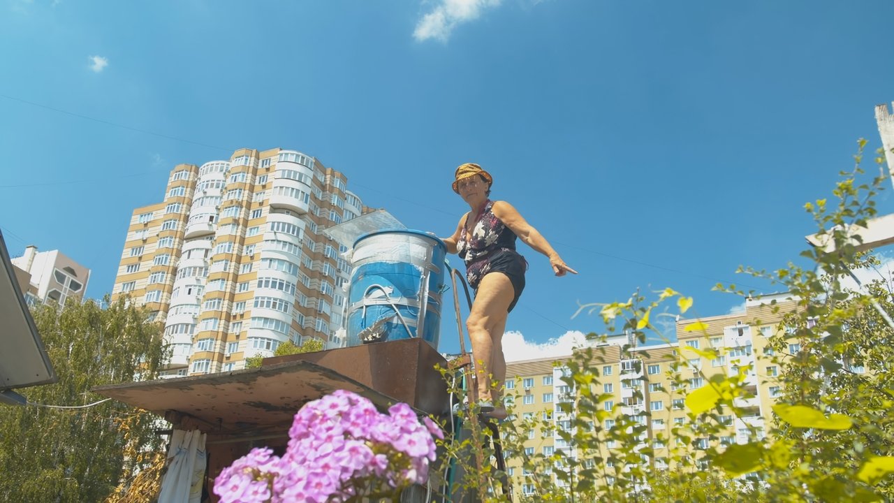 Квіти України backdrop