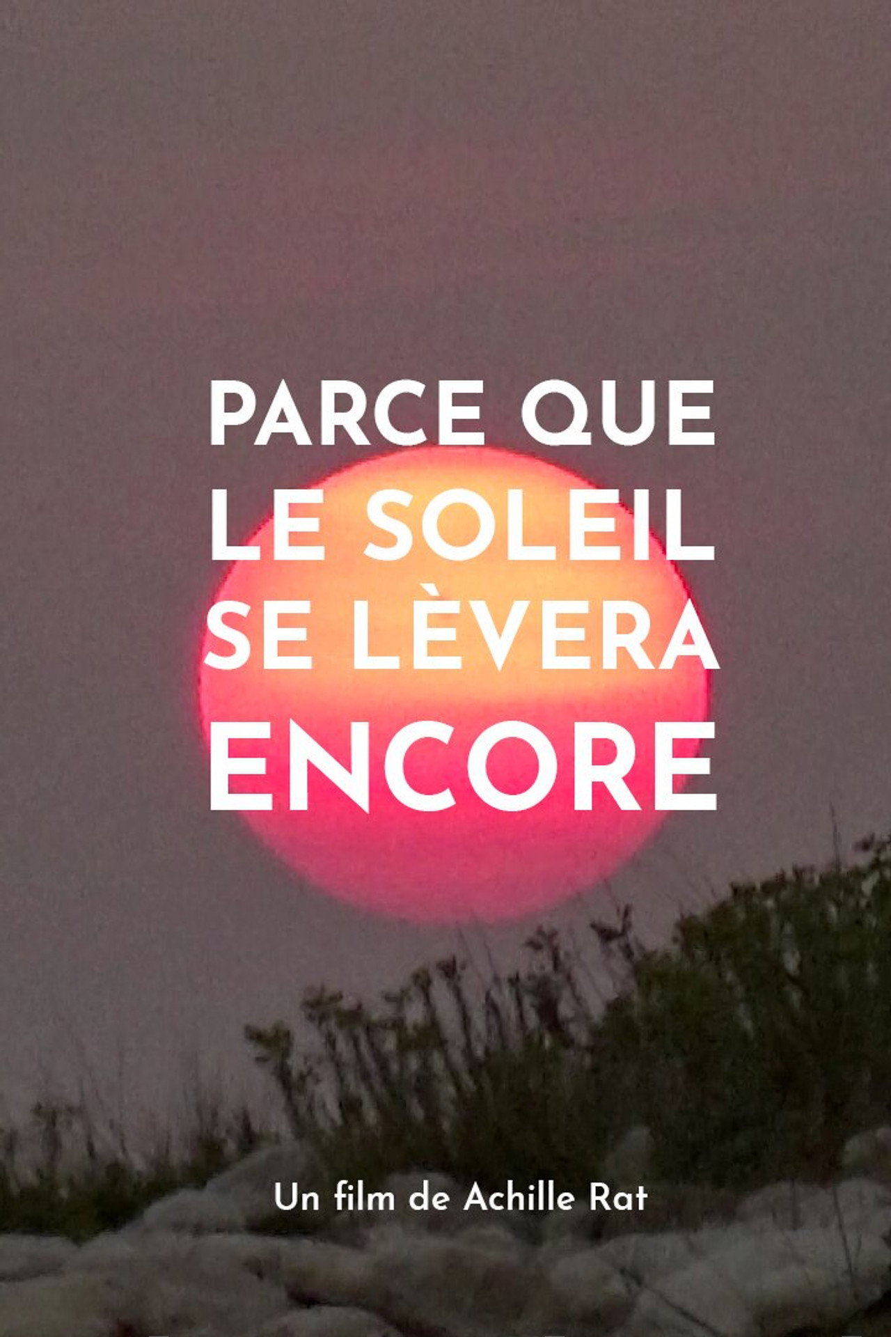 Parce que le soleil se lèvera encore