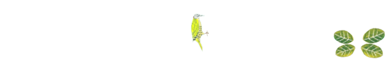 enlarged Logo 0