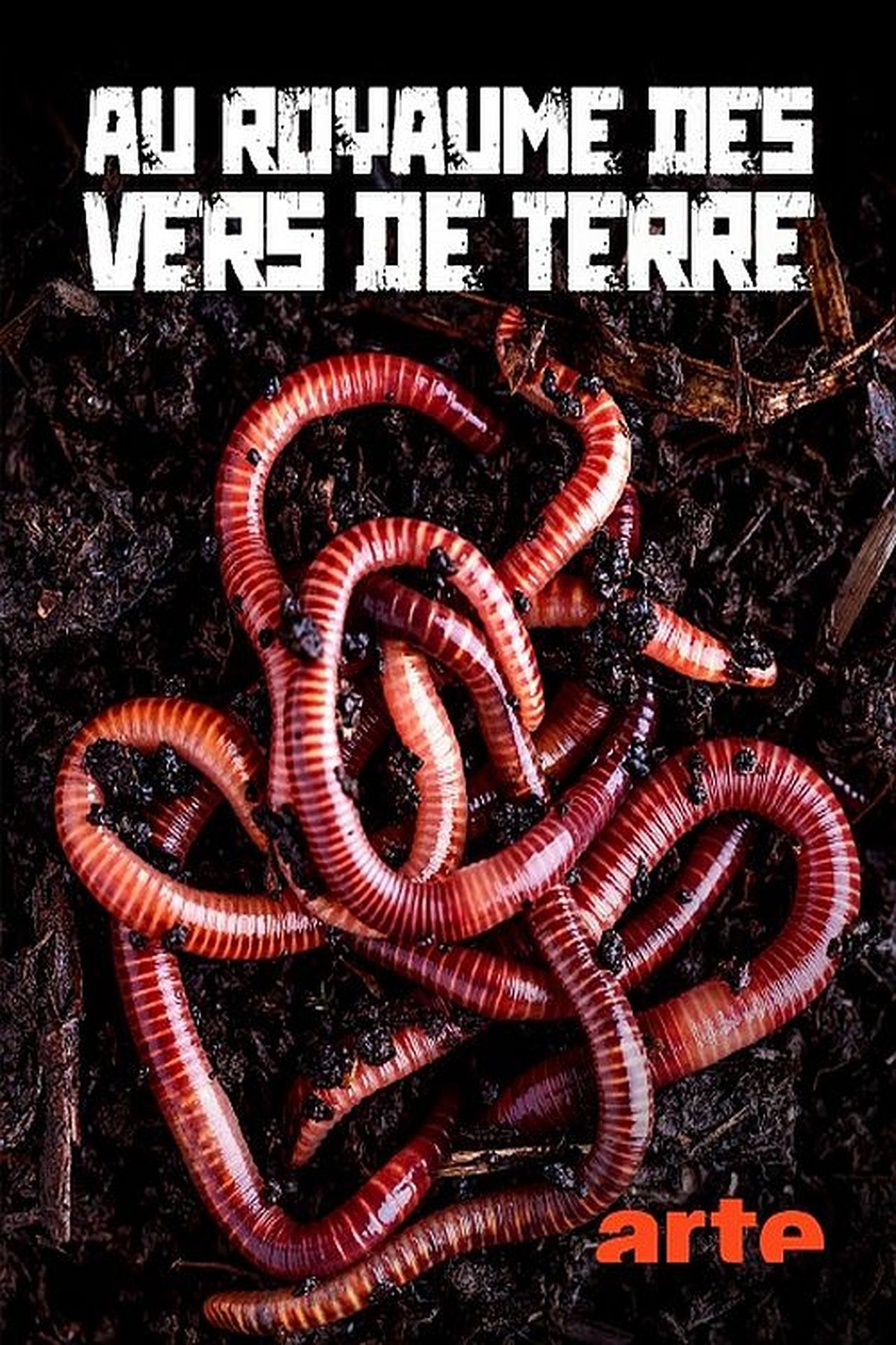 enlarged Poster 0