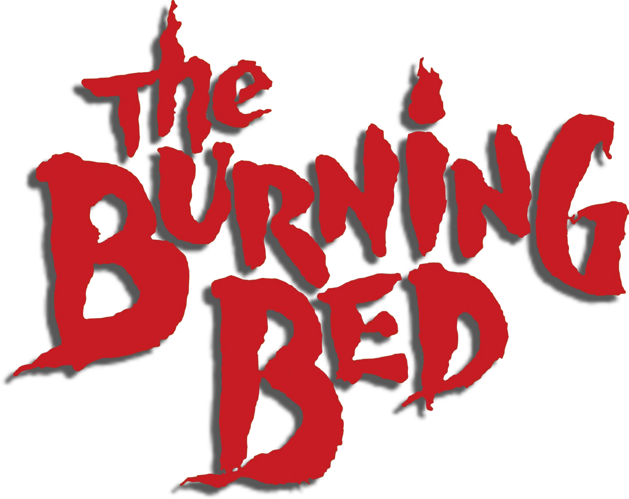 enlarged Logo 0