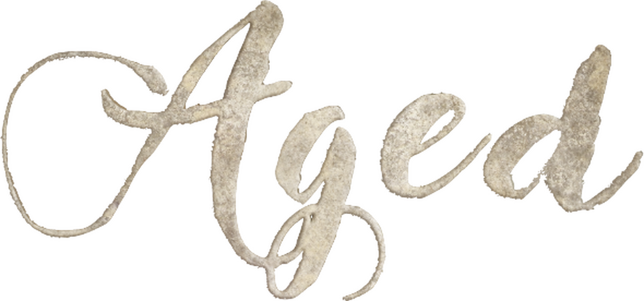 enlarged Logo 0