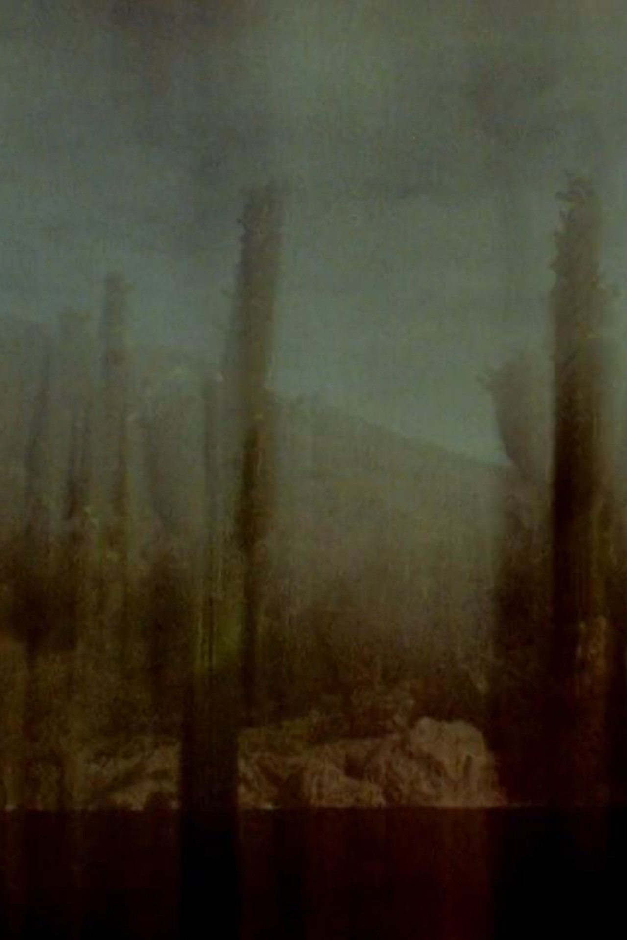 enlarged Poster 0