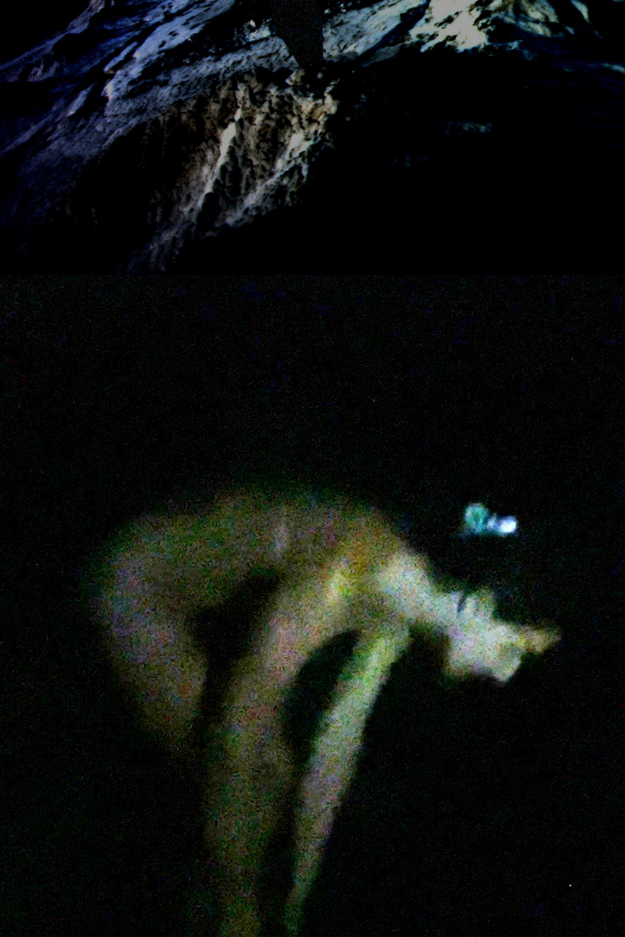 enlarged Poster 0