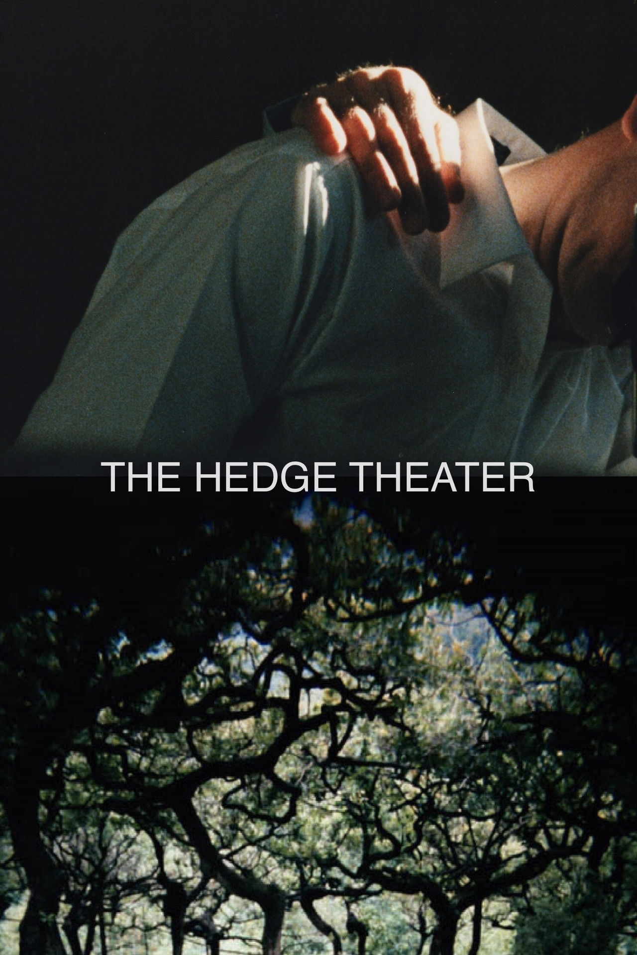 The Hedge Theater
