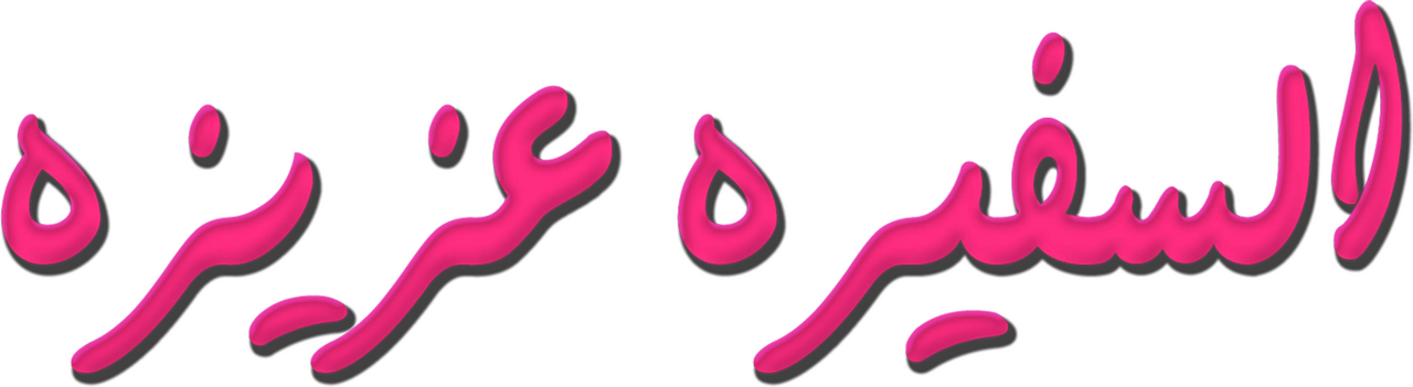 enlarged Logo 0