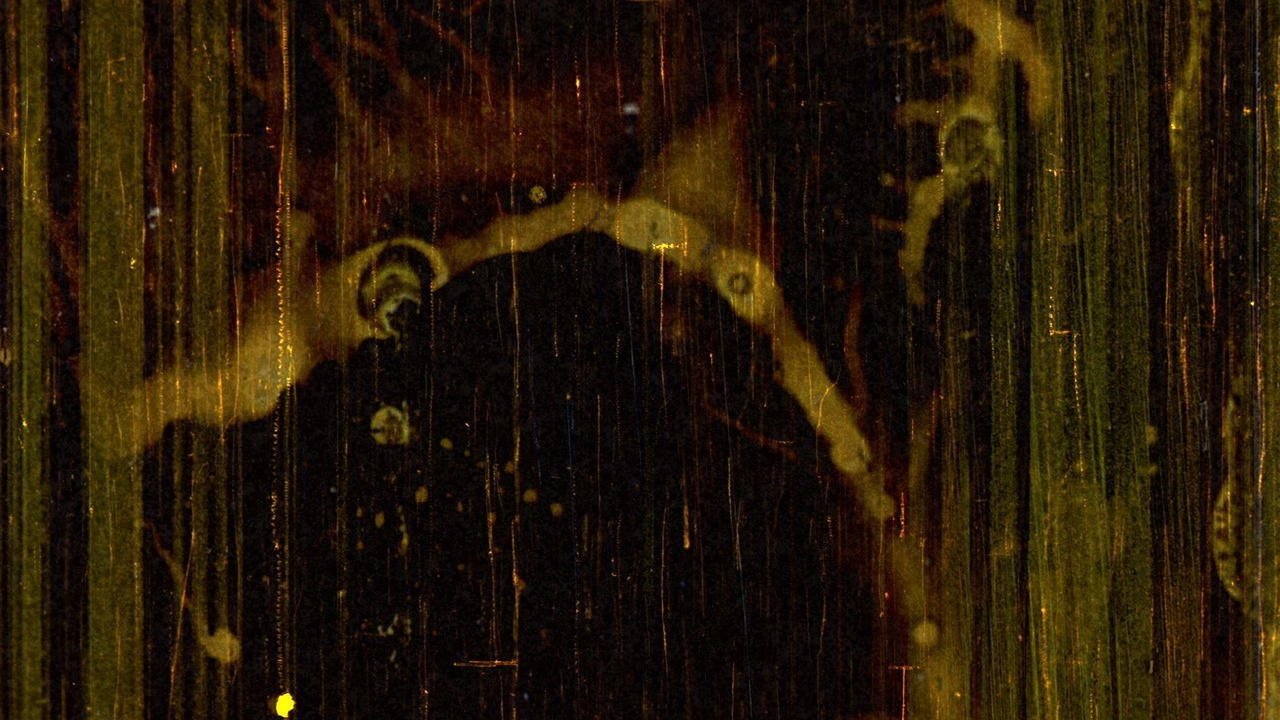 enlarged Backdrop 0