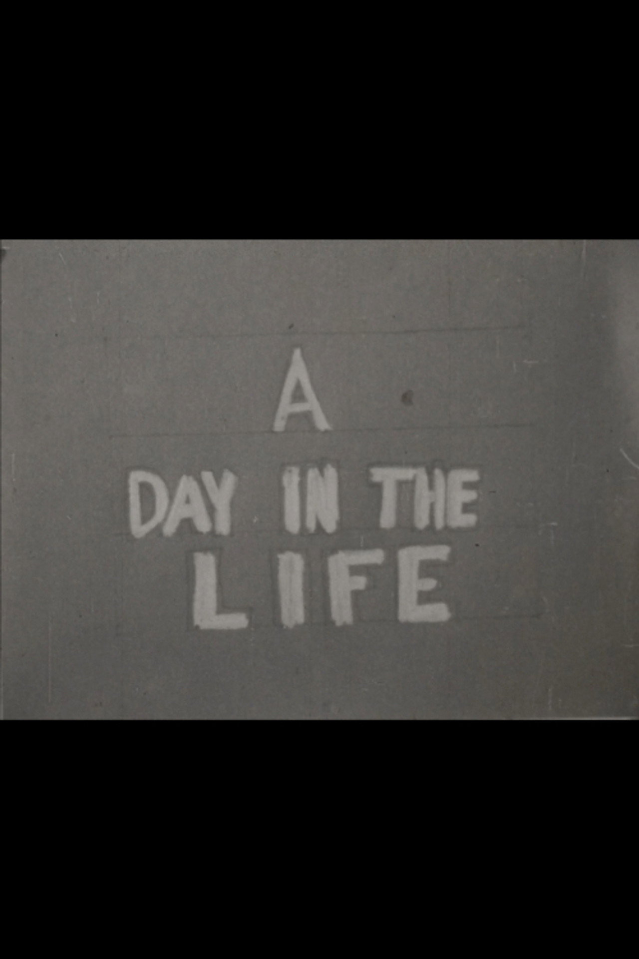 A Day in the Life