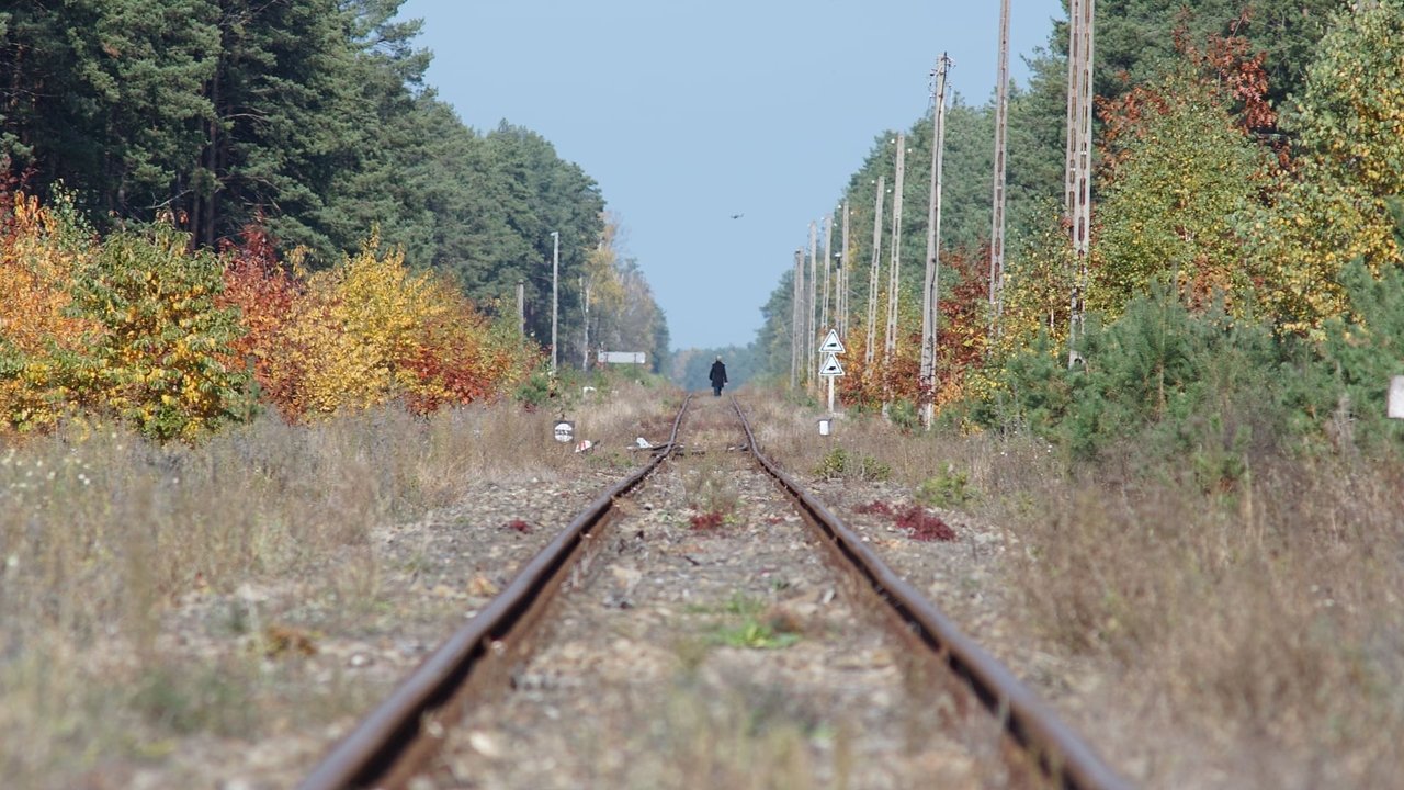 Sobibor : Anatomie d’un camp d’extermination backdrop
