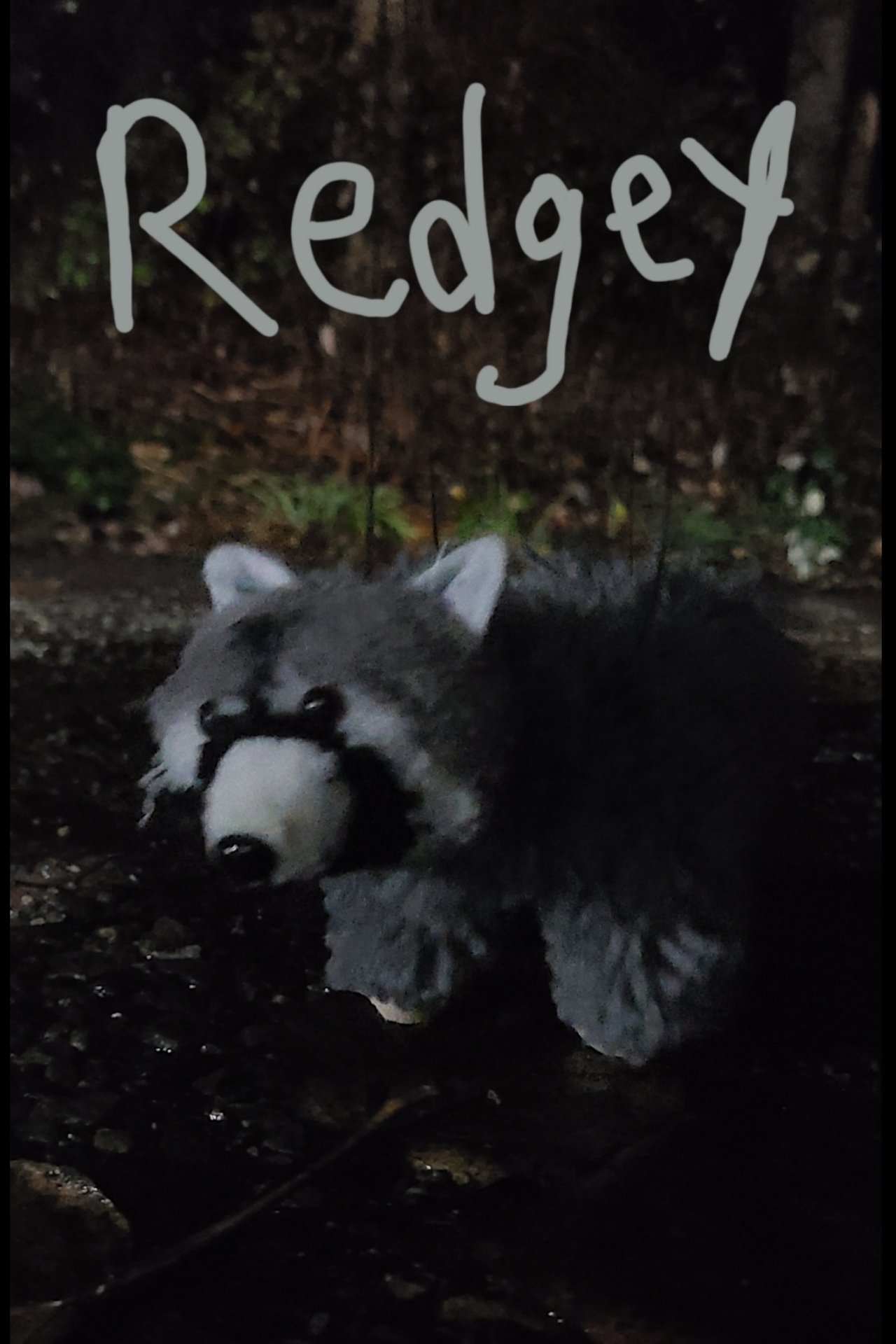 enlarged Poster 0