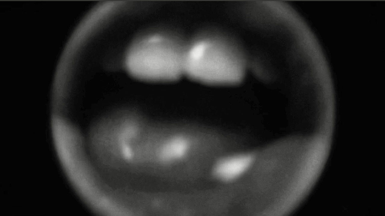 плакать при свете (cry in the light)