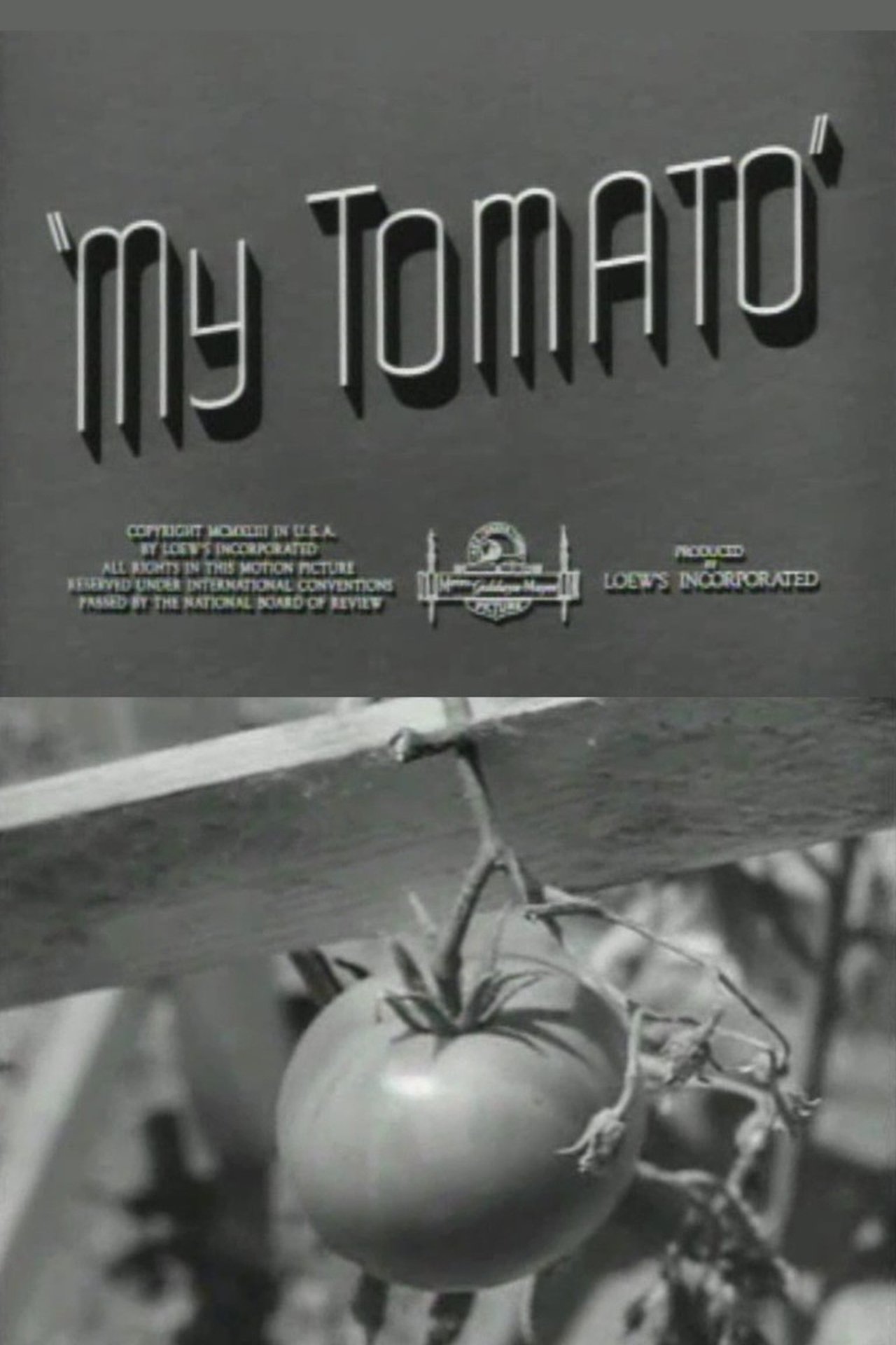 enlarged Poster 0
