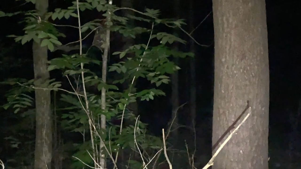 vingt deux heures vingt deux.