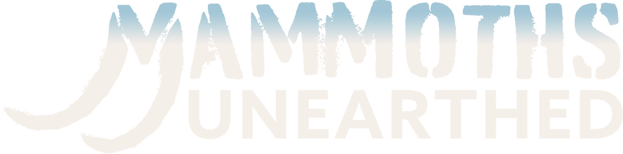 enlarged Logo 0