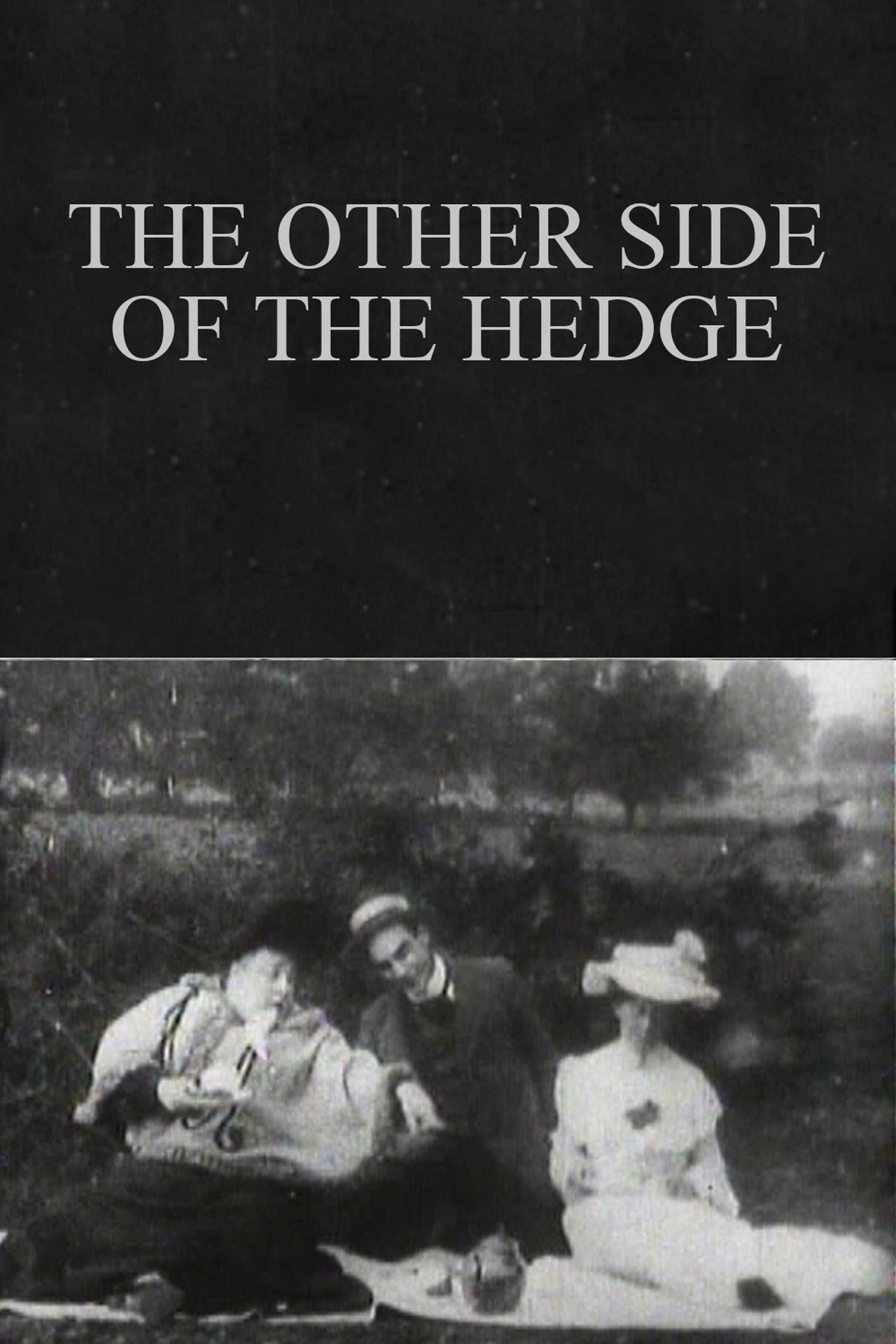 enlarged Poster 0