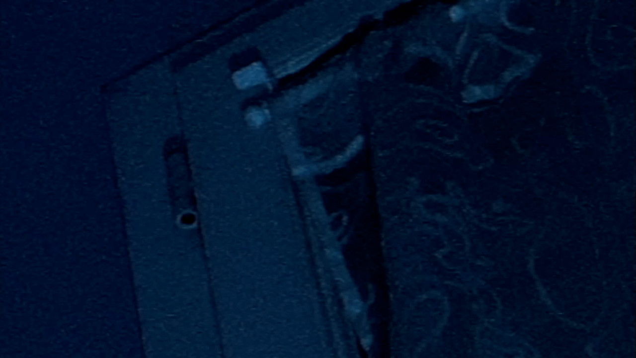 backdrop Beware of watch dog !