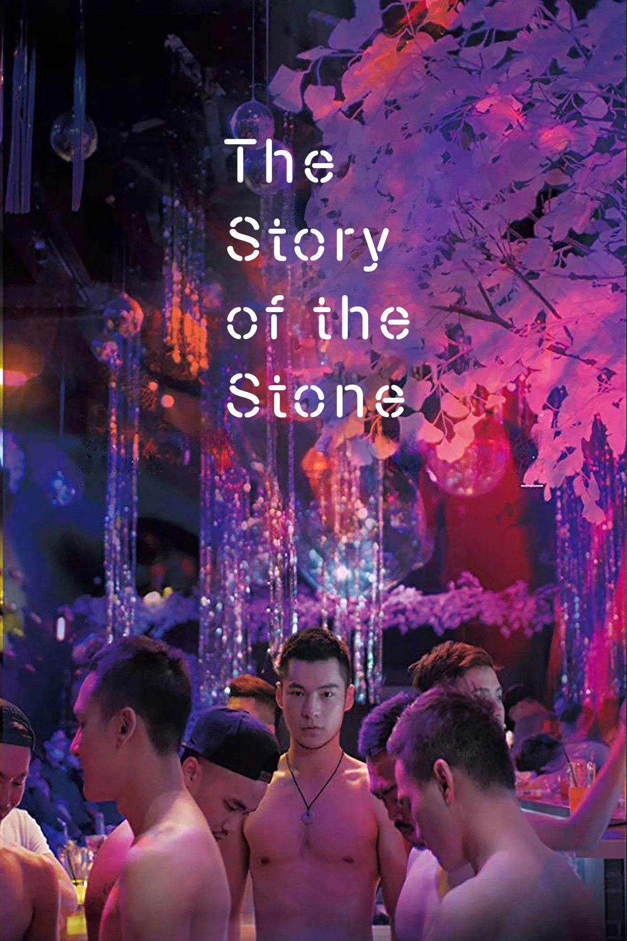 The Story of the Stone