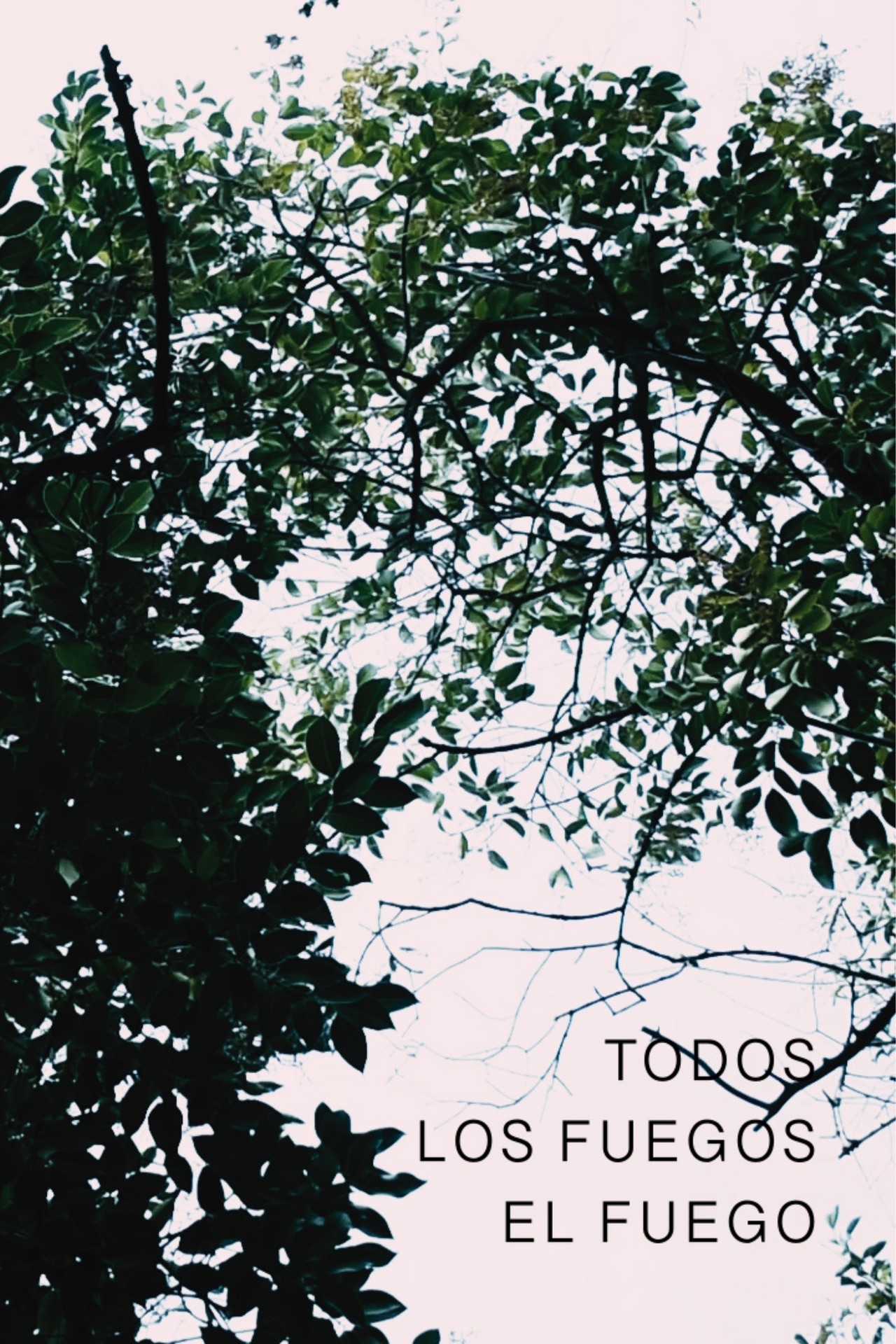 enlarged Logo 0
