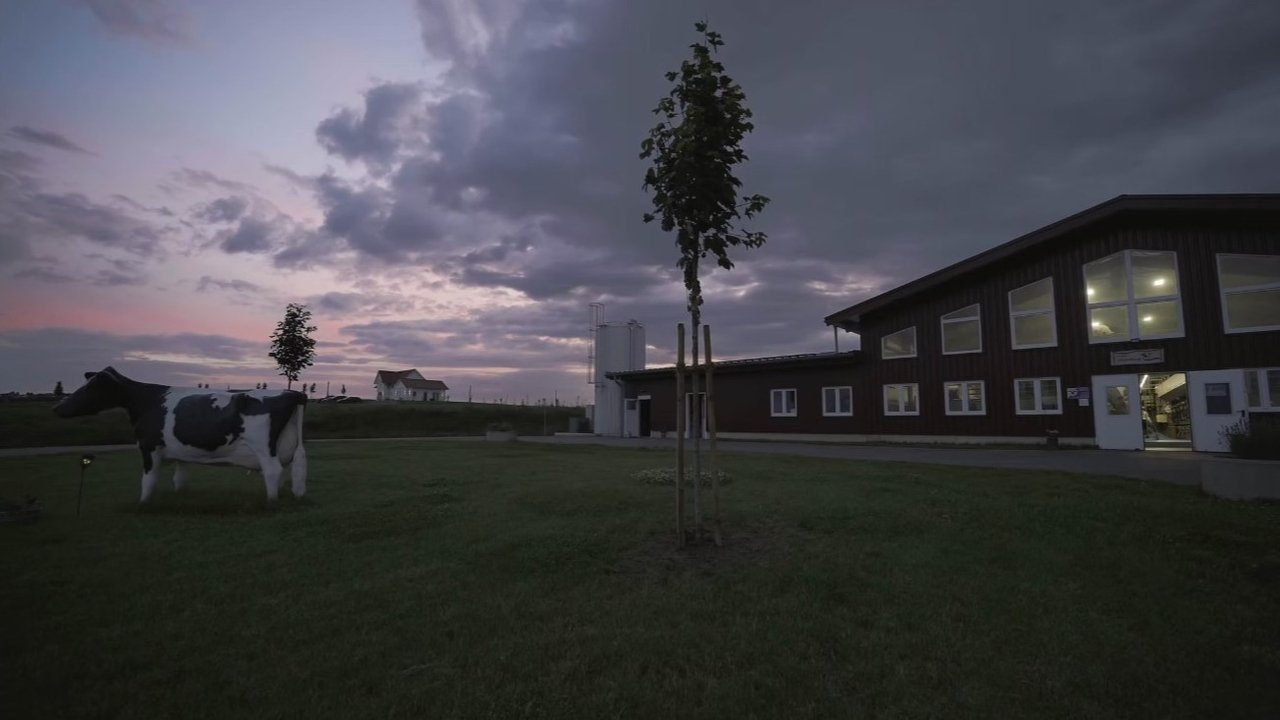 Höfe - Familie, Wirtschaft, Wandel