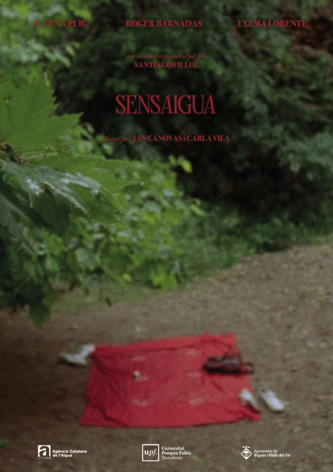 Sensaigua