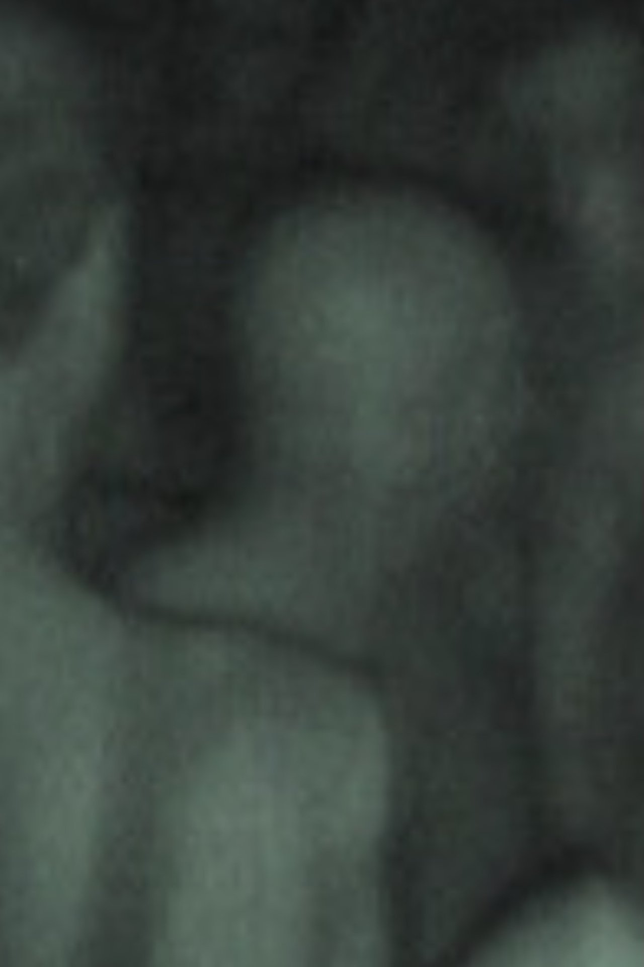 enlarged Poster 0