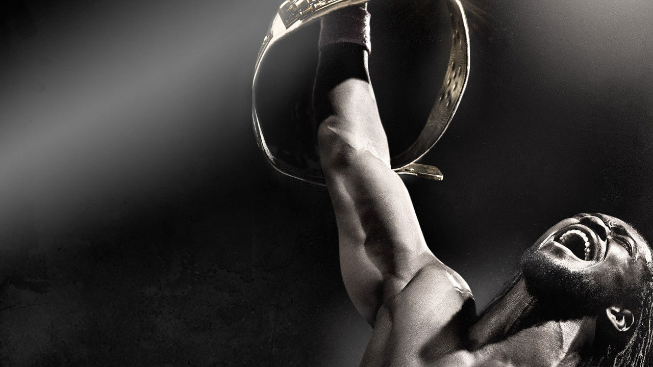 WWE Night of Champions 2013