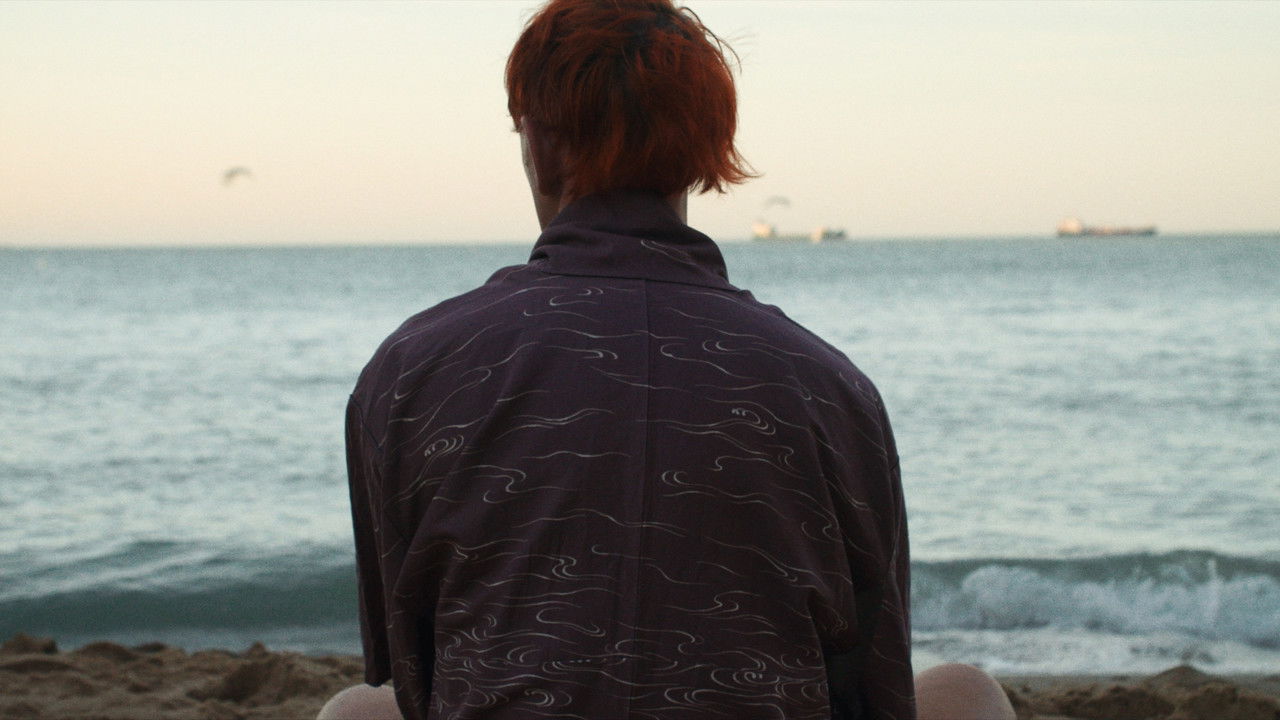 backdrop Howls to the Harbour