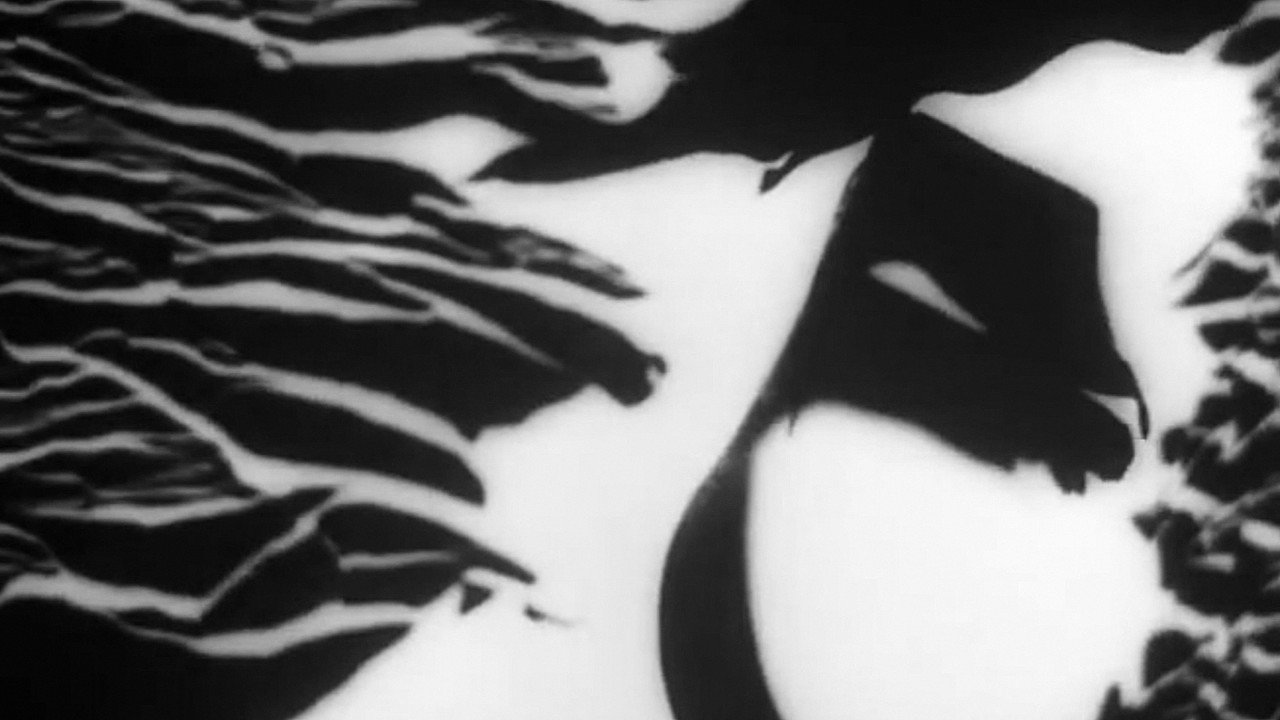 backdrop Demons