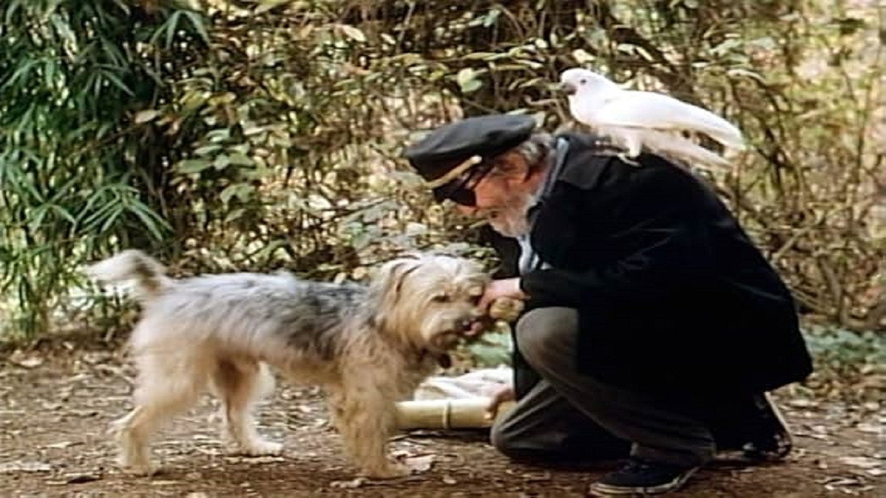Boomer and the Musket Cove Treasure