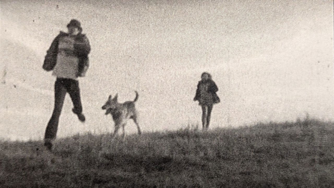 backdrop The Secret of Sleep