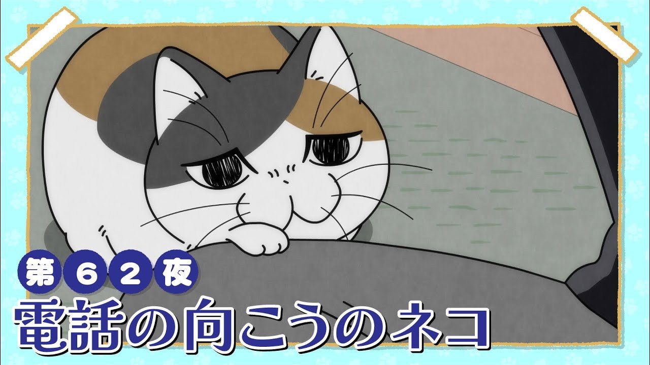 Night 62: A Cat On the Other End of the Line