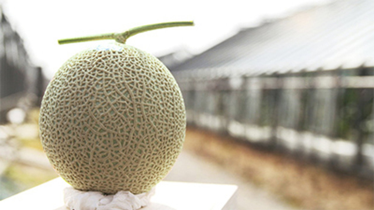Muskmelon